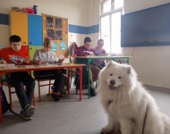 Zajęcia z psem terapeutycznym – Simo