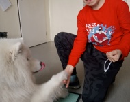 Zajęcia z psem terapeutycznym – Simo