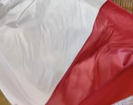 NARODOWE ŚWIĘTO NIEPODLEGŁOŚCI w ZSS