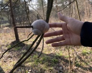 JAK NASZA SZKOŁA WIOSNĘ WITAŁA :-)