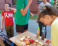 DZIEŃ JABŁKA W ZSS