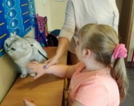Światowy Dzień Zwierząt w ZSS
